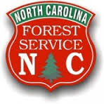 NC State Forest